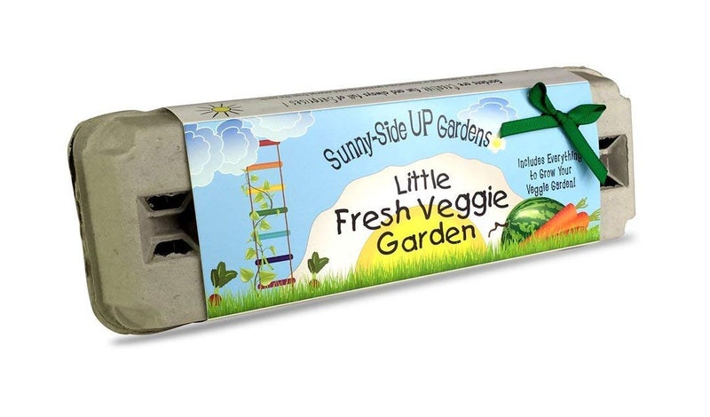 Backyard Safari Company Sunny-Side Up Gardens  Little Fresh Veggie Garden - Image 1